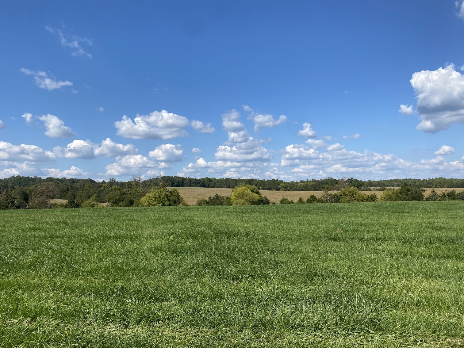 Image for 4 +/- Acres (Parcel #2) with 3 BR/2 BA Brick Home w/Basement in Orange County, VA