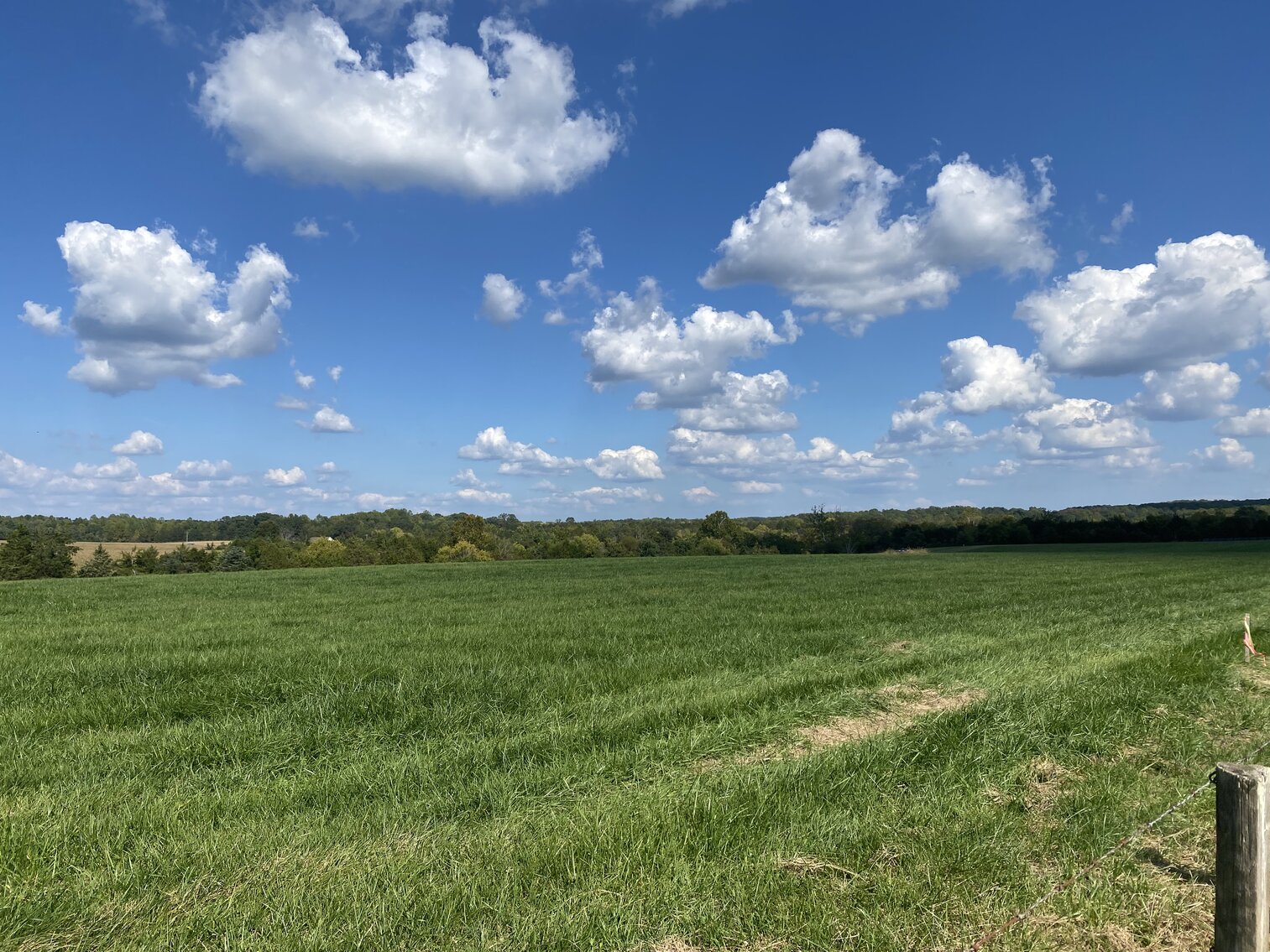 Image for 4 +/- Acres (Parcel #2) with 3 BR/2 BA Brick Home w/Basement in Orange County, VA