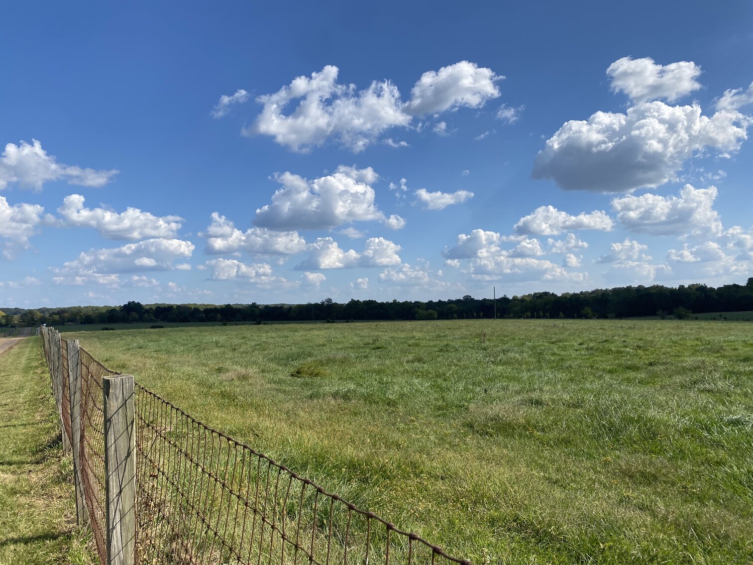 Image for 29 +/- Acres (Parcel #4) with Frontage on Rt. 522 in Orange County, VA