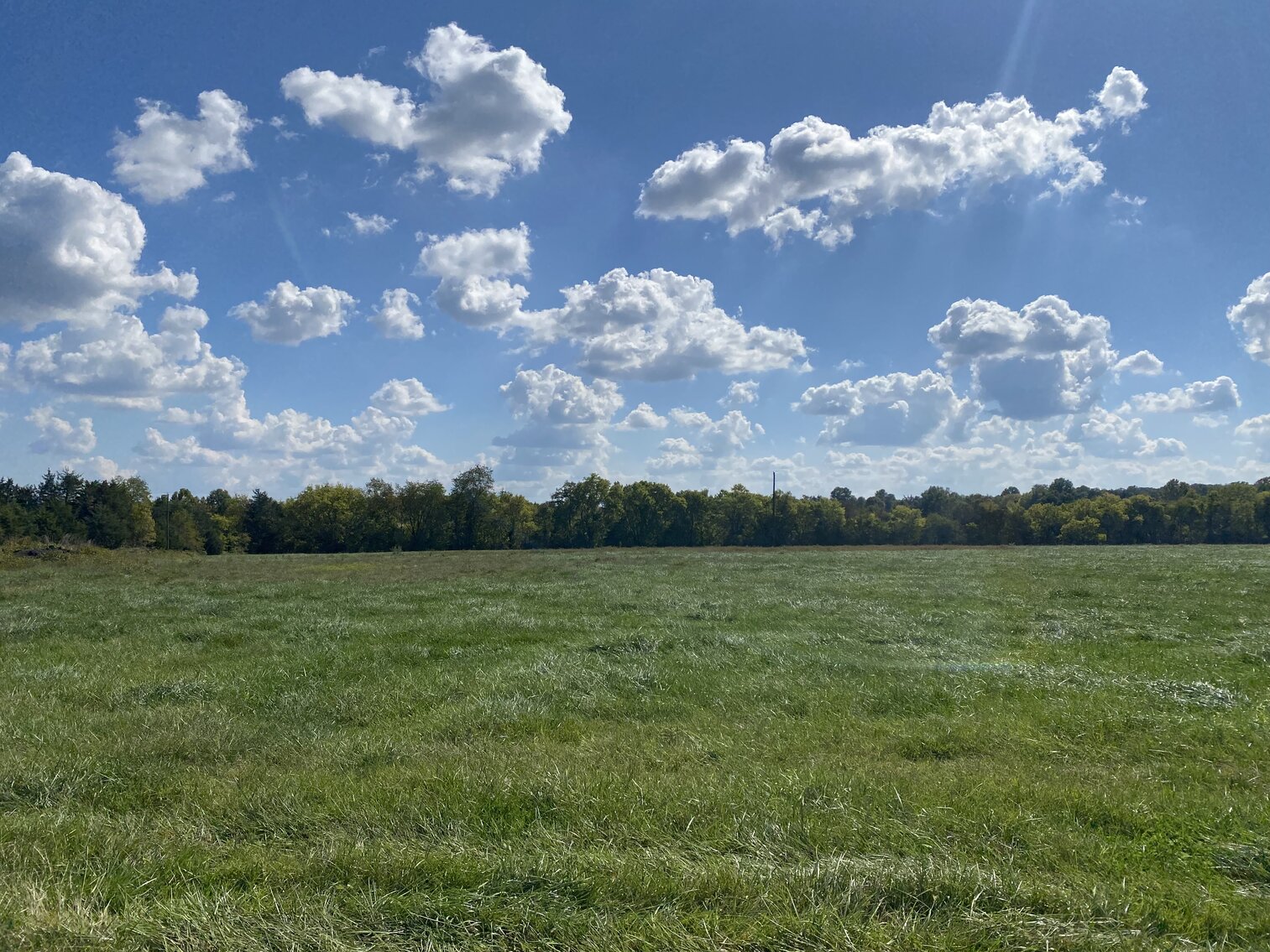 Image for 193.7 +/- Acres (7 Parcels) with 3 BR/2 BA Home, Barns, Shops/Garages & 1,800' +/- of Rt. 522 Frontage--Orange County, VA