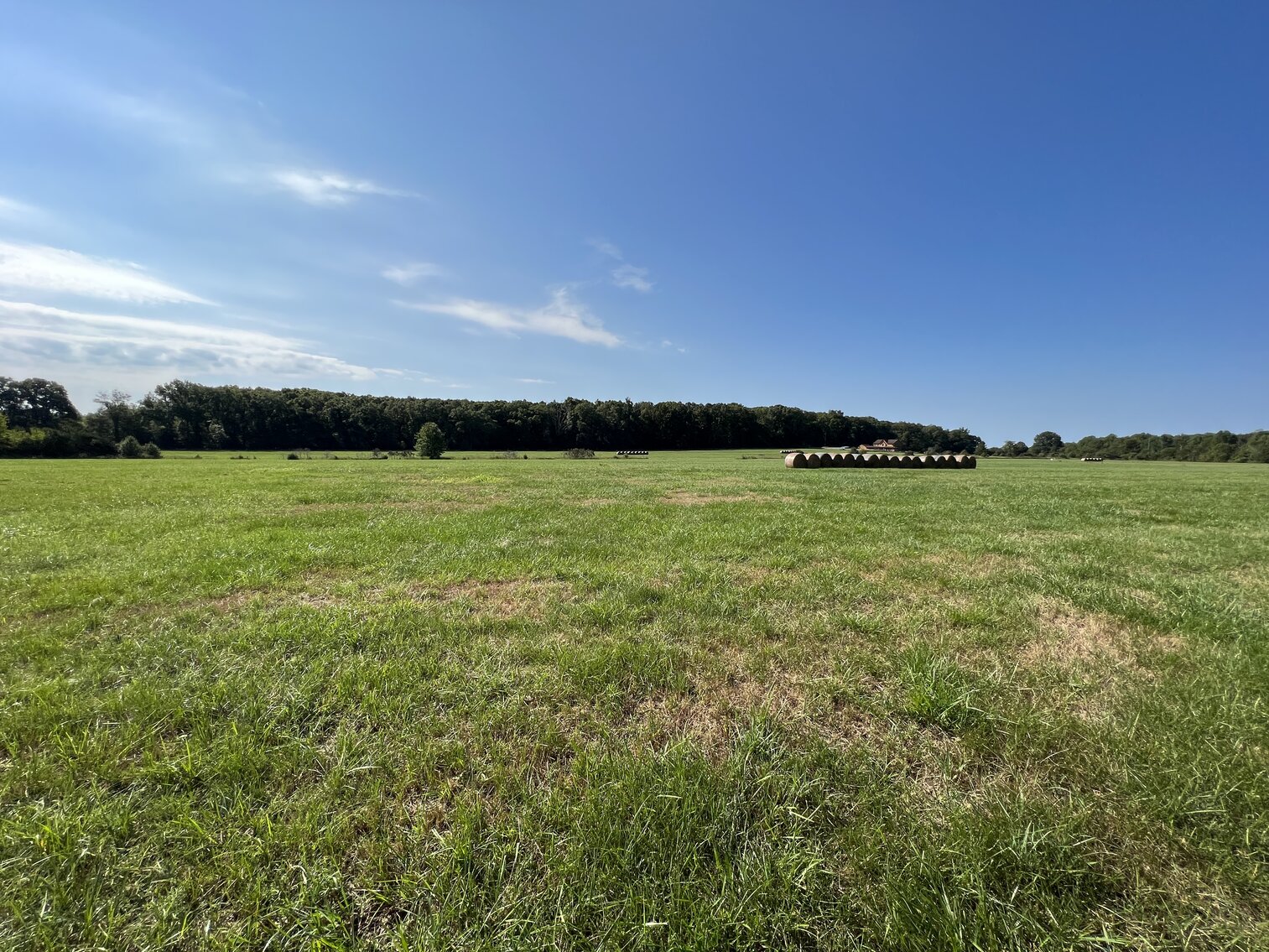 Image for 193.7 +/- Acres (7 Parcels) with 3 BR/2 BA Home, Barns, Shops/Garages & 1,800' +/- of Rt. 522 Frontage--Orange County, VA