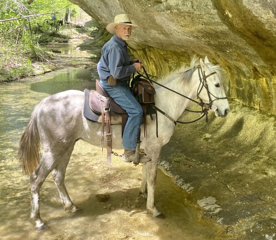 Image for Cleburn County Horse Auction