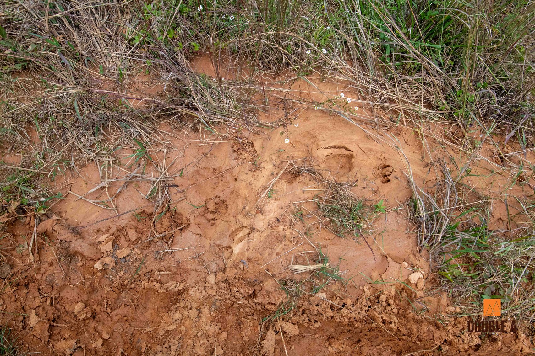 Image for Private 195-Acre Oasis in Lunenburg County