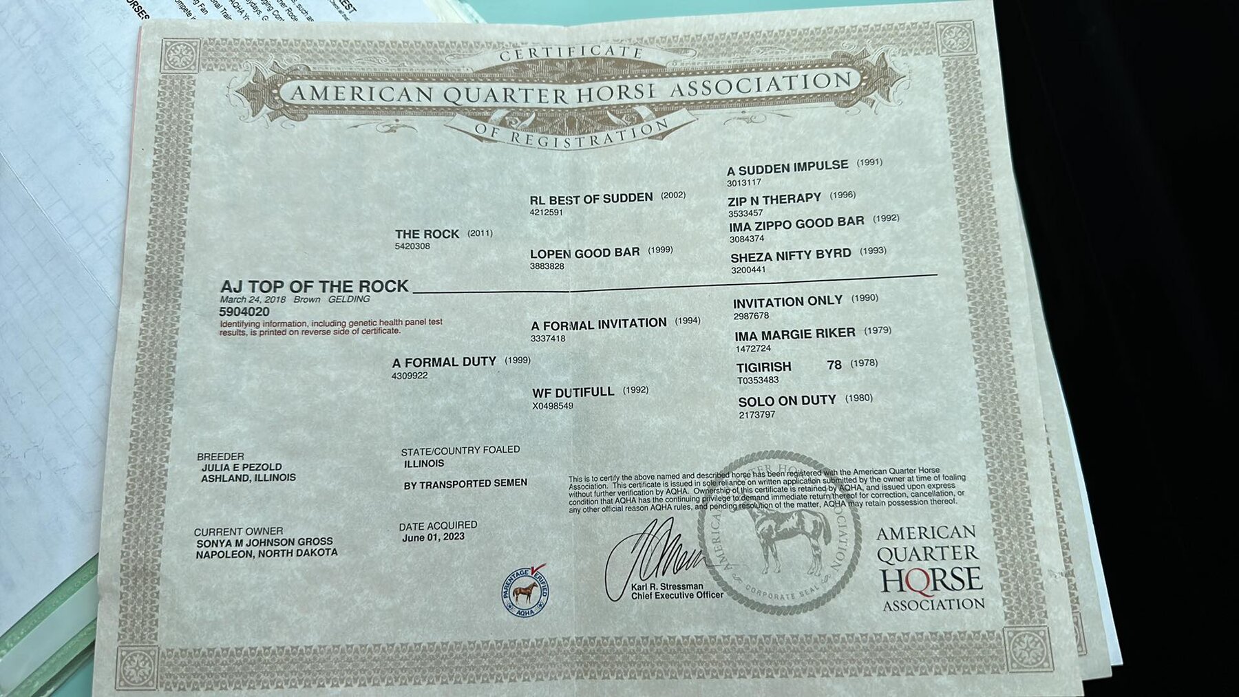 Twin Cities Horse Sales Appaloosa, Paint, & Quarter Horse Sale