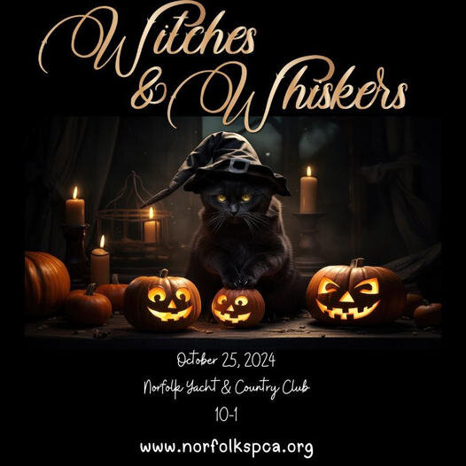 Image for Witches & Whiskers