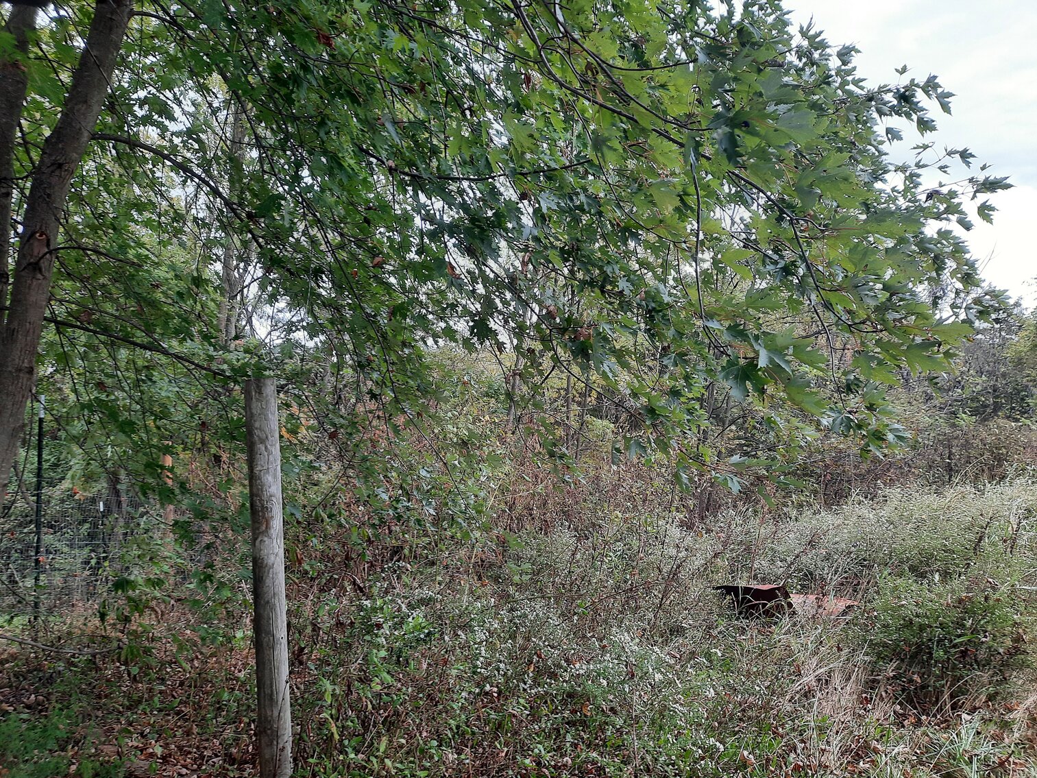 Image for 3455 Hwy 455, Sparta, KY 41086