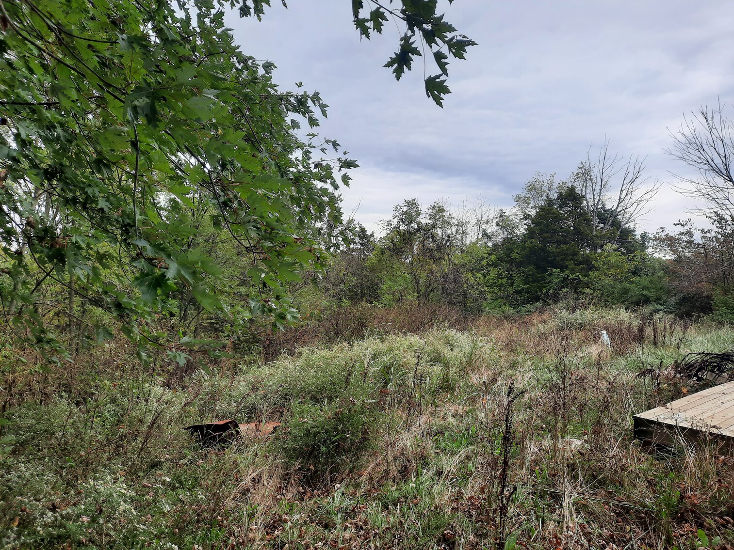 Image for 3455 Hwy 455, Sparta, KY 41086