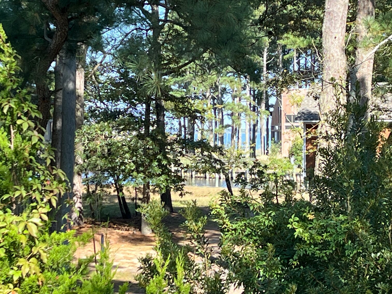 Image for 5376 Pearl Dr Chincoteague, VA. Oyster Bay 1 Real Estate Auction