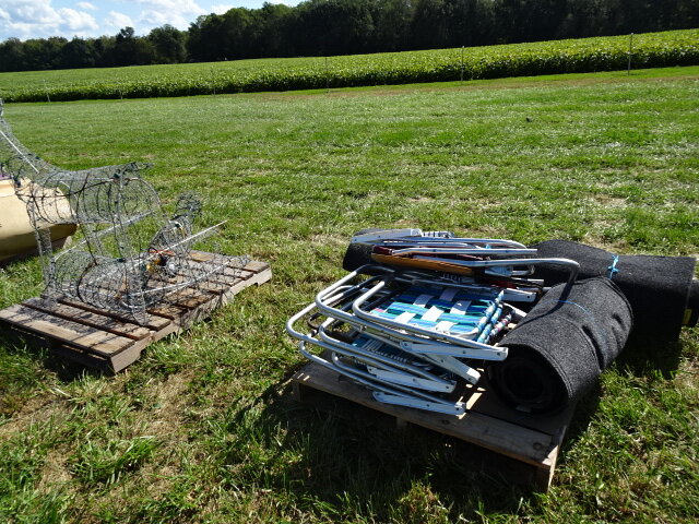 Image for Oct 14, 2023 Antique Tractors & Equipment Auction