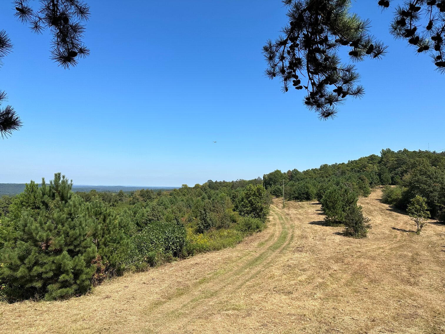 Image for Whited Lake Farm  A 583± Acre Legacy Property in Oneonta, Alabama...SOLD