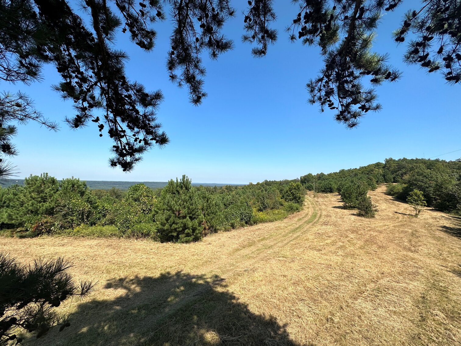 Image for Whited Lake Farm  A 583± Acre Legacy Property in Oneonta, Alabama...SOLD