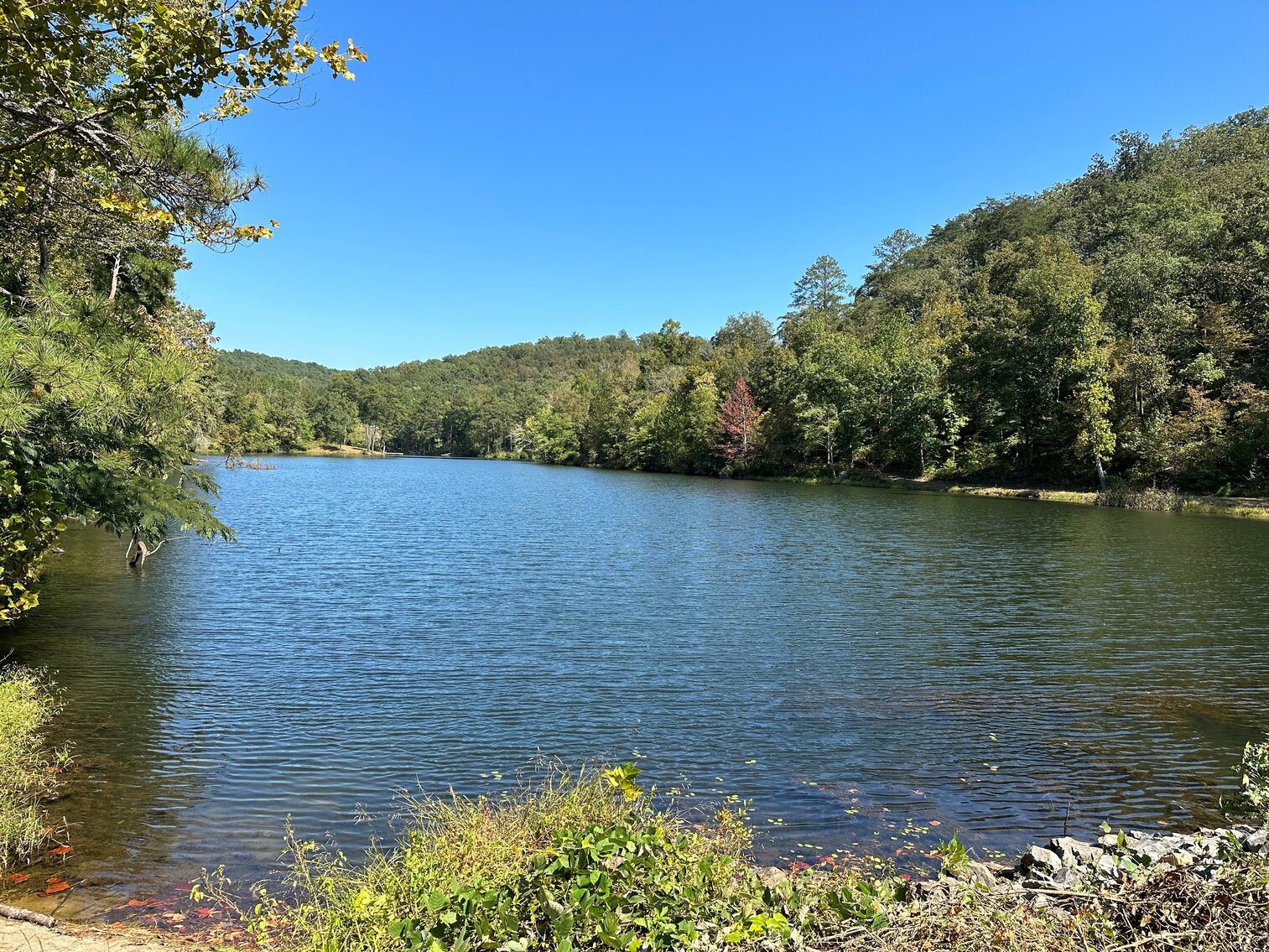 Image for Whited Lake Farm  A 583± Acre Legacy Property in Oneonta, Alabama...SOLD