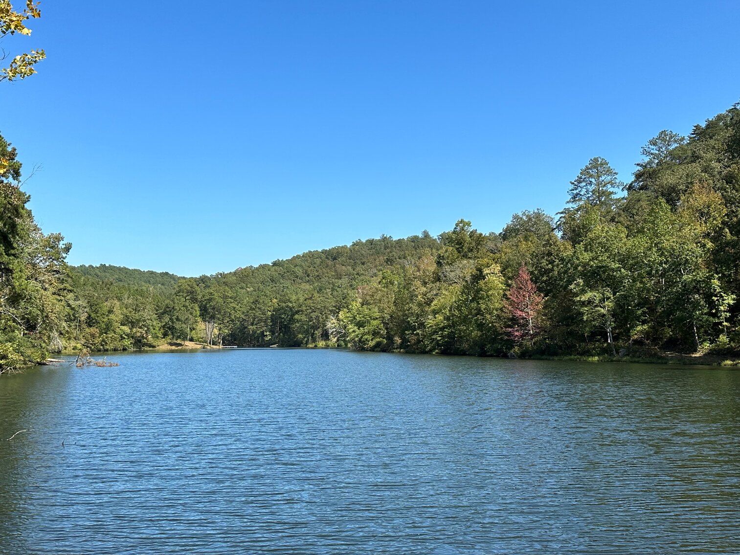 Image for Whited Lake Farm  A 583± Acre Legacy Property in Oneonta, Alabama...SOLD