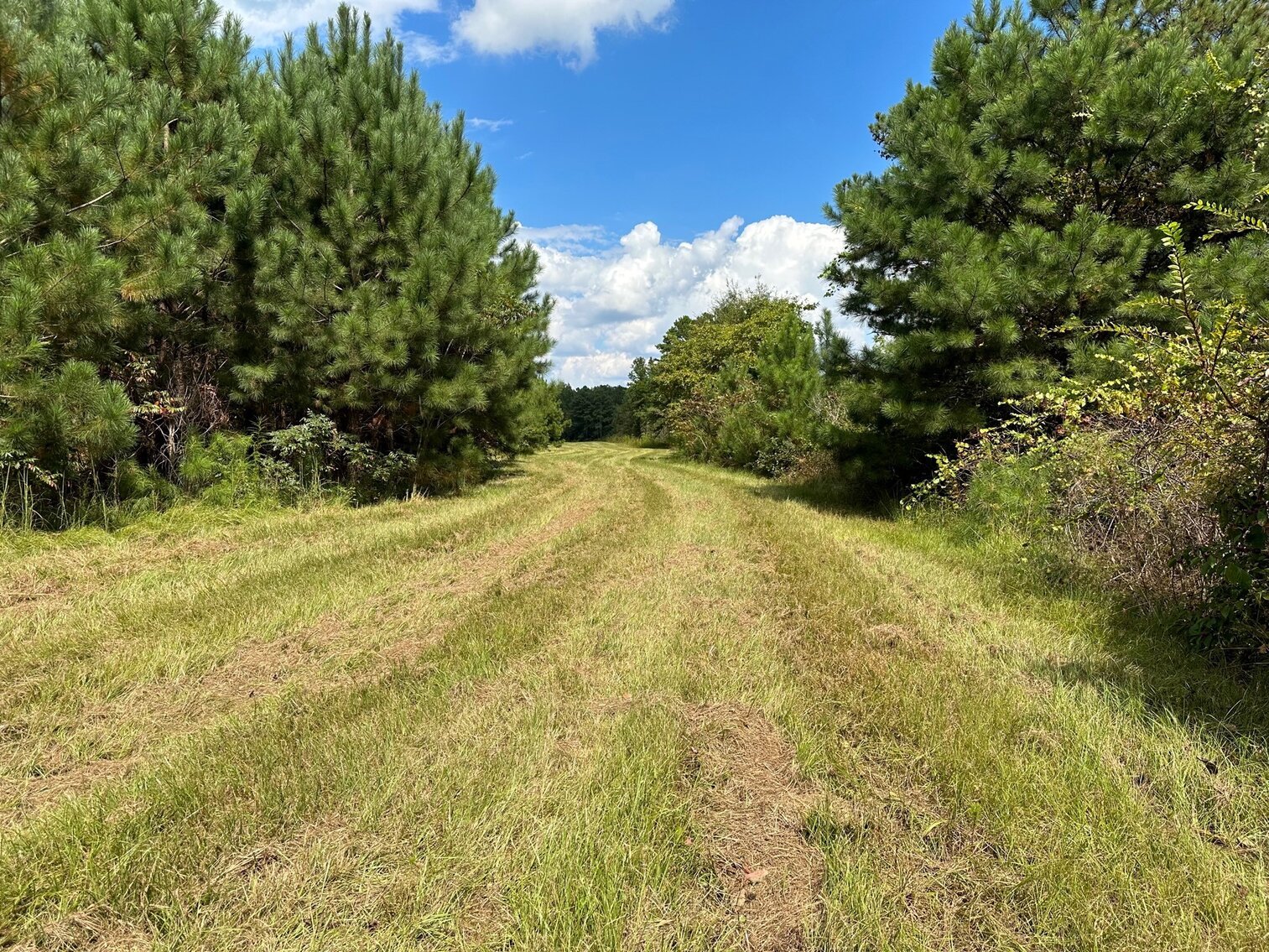 Image for Whited Lake Farm  A 583± Acre Legacy Property in Oneonta, Alabama...SOLD