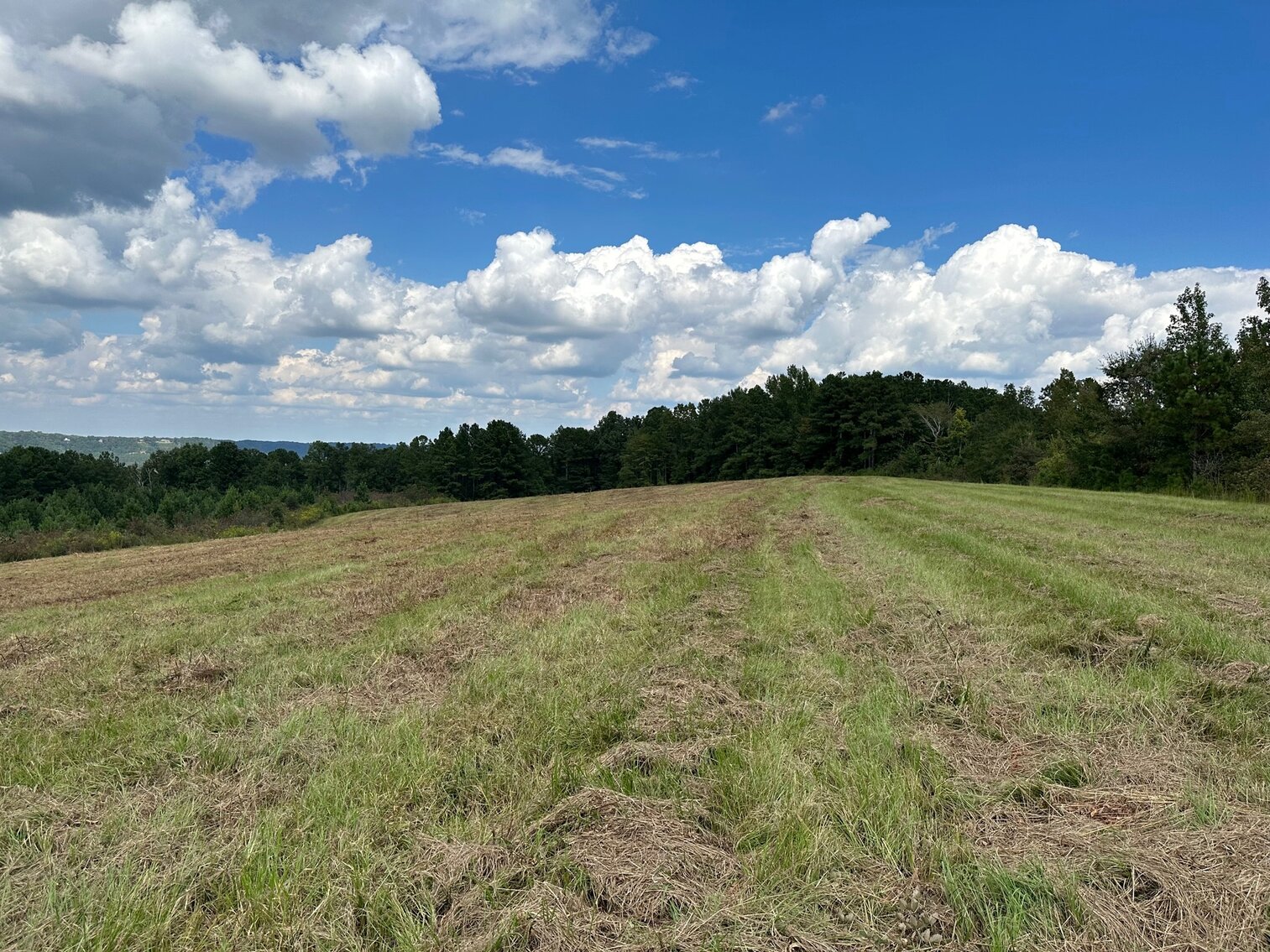 Image for Whited Lake Farm  A 583± Acre Legacy Property in Oneonta, Alabama...SOLD