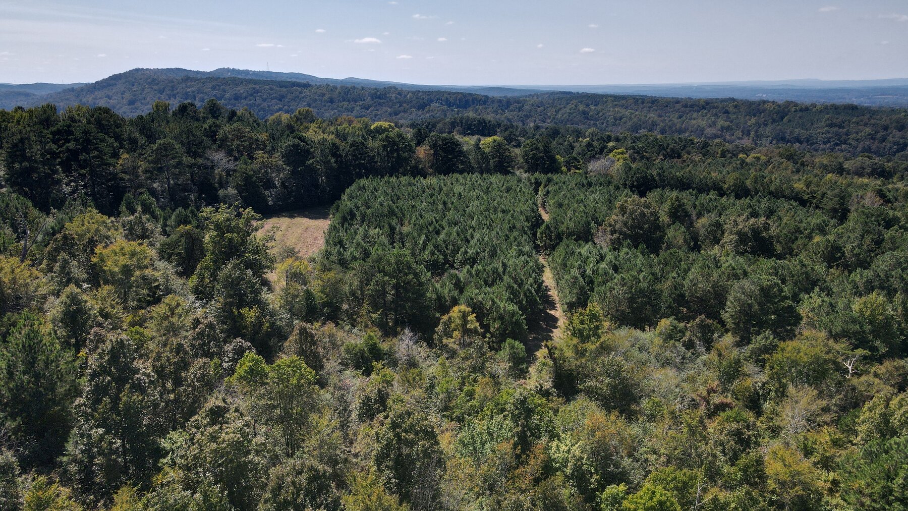 Image for Whited Lake Farm  A 583± Acre Legacy Property in Oneonta, Alabama...SOLD