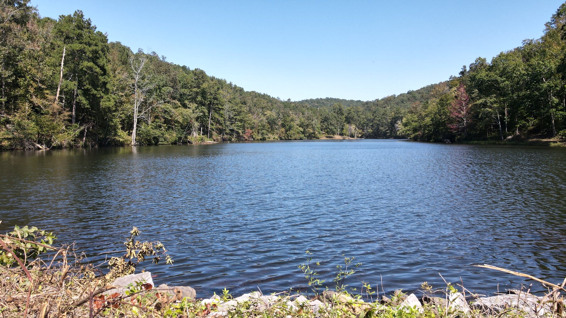 Image for Whited Lake Farm  A 583± Acre Legacy Property in Oneonta, Alabama...SOLD