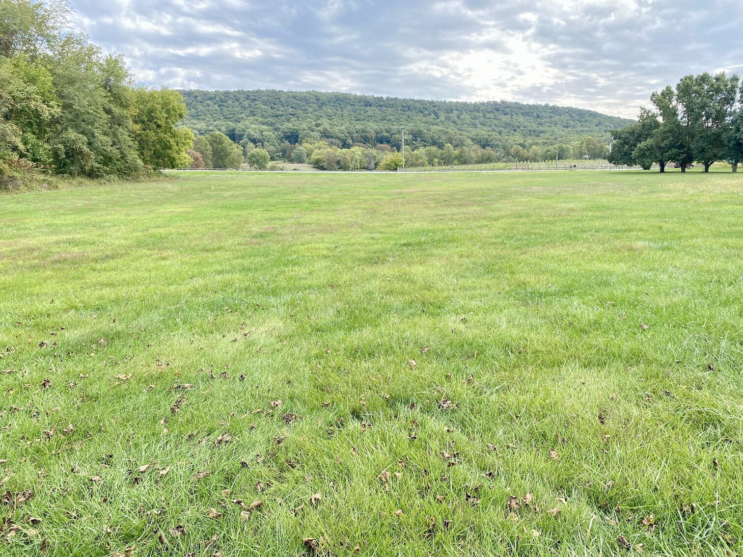 Image for 3 BR/2.5 BA Brick Home w/Garages/Shops on 27.37 +/- Acres--Loudoun County, VA