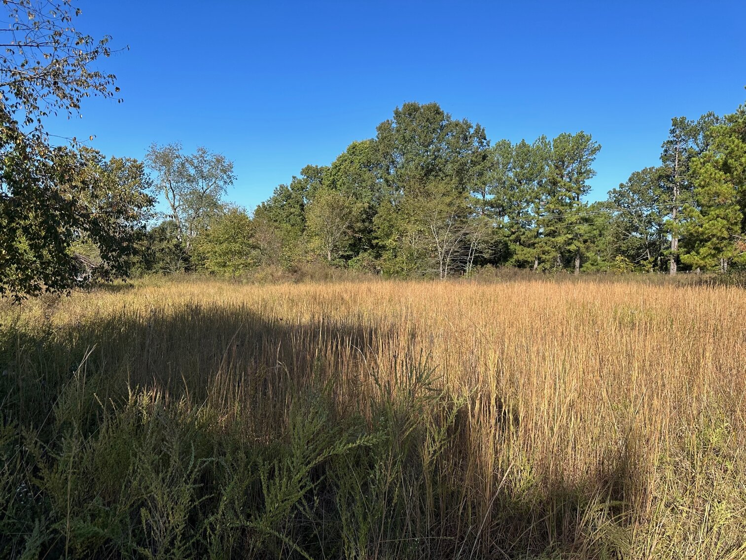 Image for Camp Real Estate Public Auction