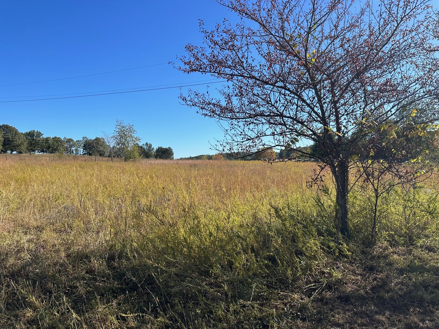 Image for Camp Real Estate Public Auction