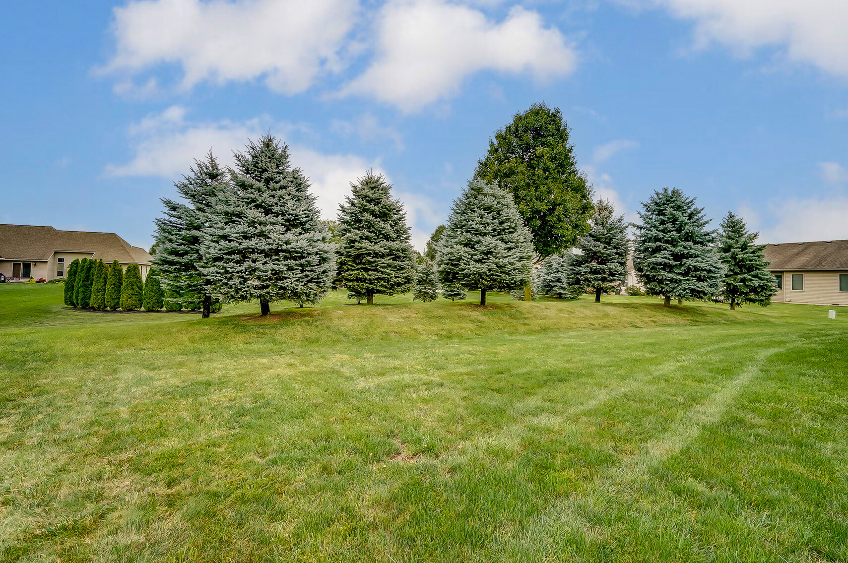 Image for 10370 Blue Ridge Drive, Whitehouse, Ohio 43571