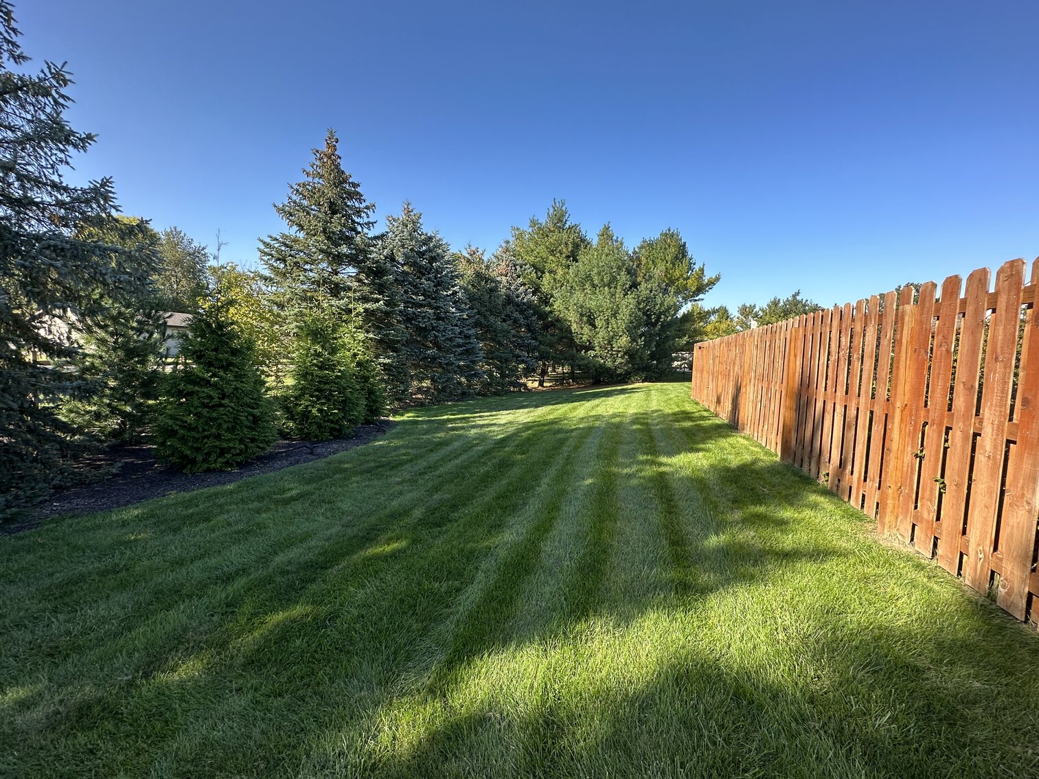 Image for 7813 Winter Sweet Drive, Holland, Ohio 43528