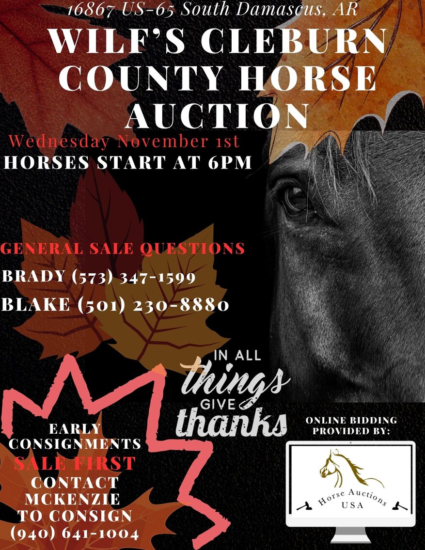 Image for Cleburn County Horse Auction November 1st
