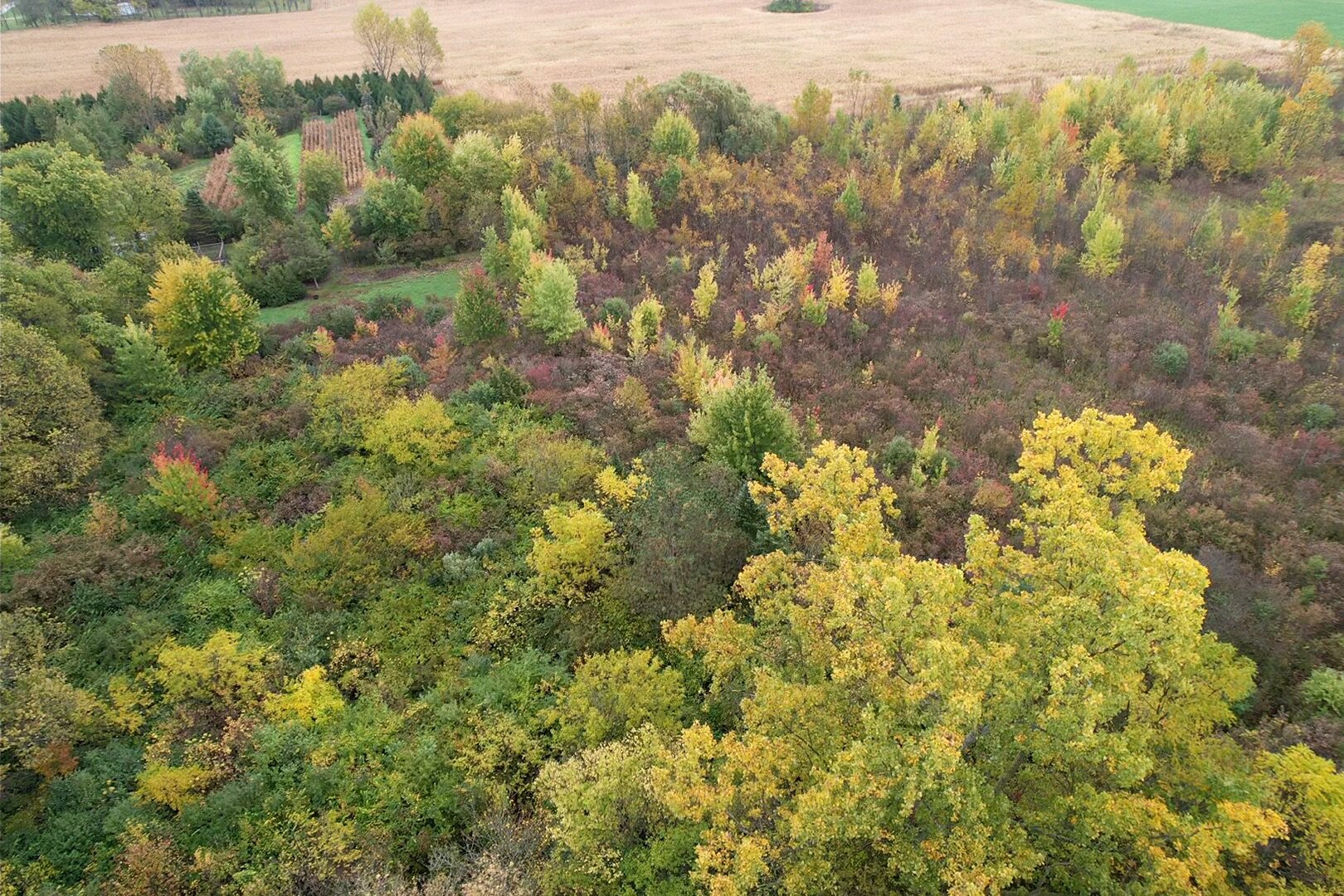 Image for MINIMUM BID AUCTION $199,000! 1831 Middleton Pike