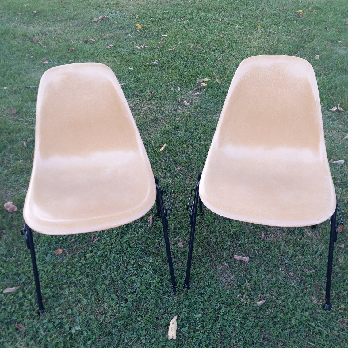 Image for Antique and Collectibles Auction