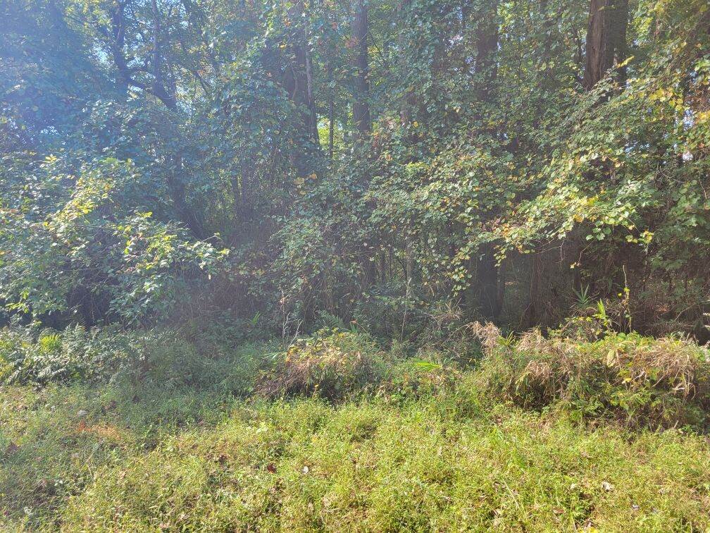 Image for Nov. 7th, 2023 - Nov. 14th, 2023 - Southampton County, Isle of Wight County & City of Newport News Tax Auction