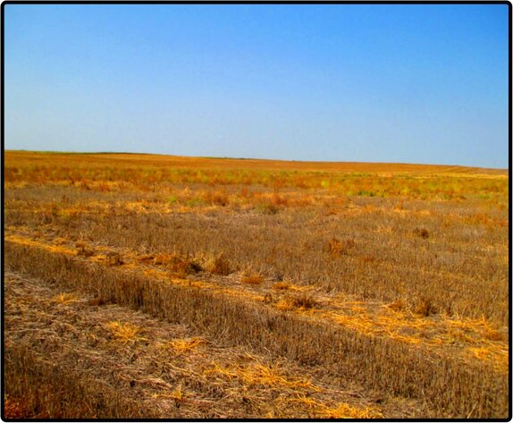 Image for Closed - Sheridan Co., NE - 161.55 Ac., m/l (090-0229-01)