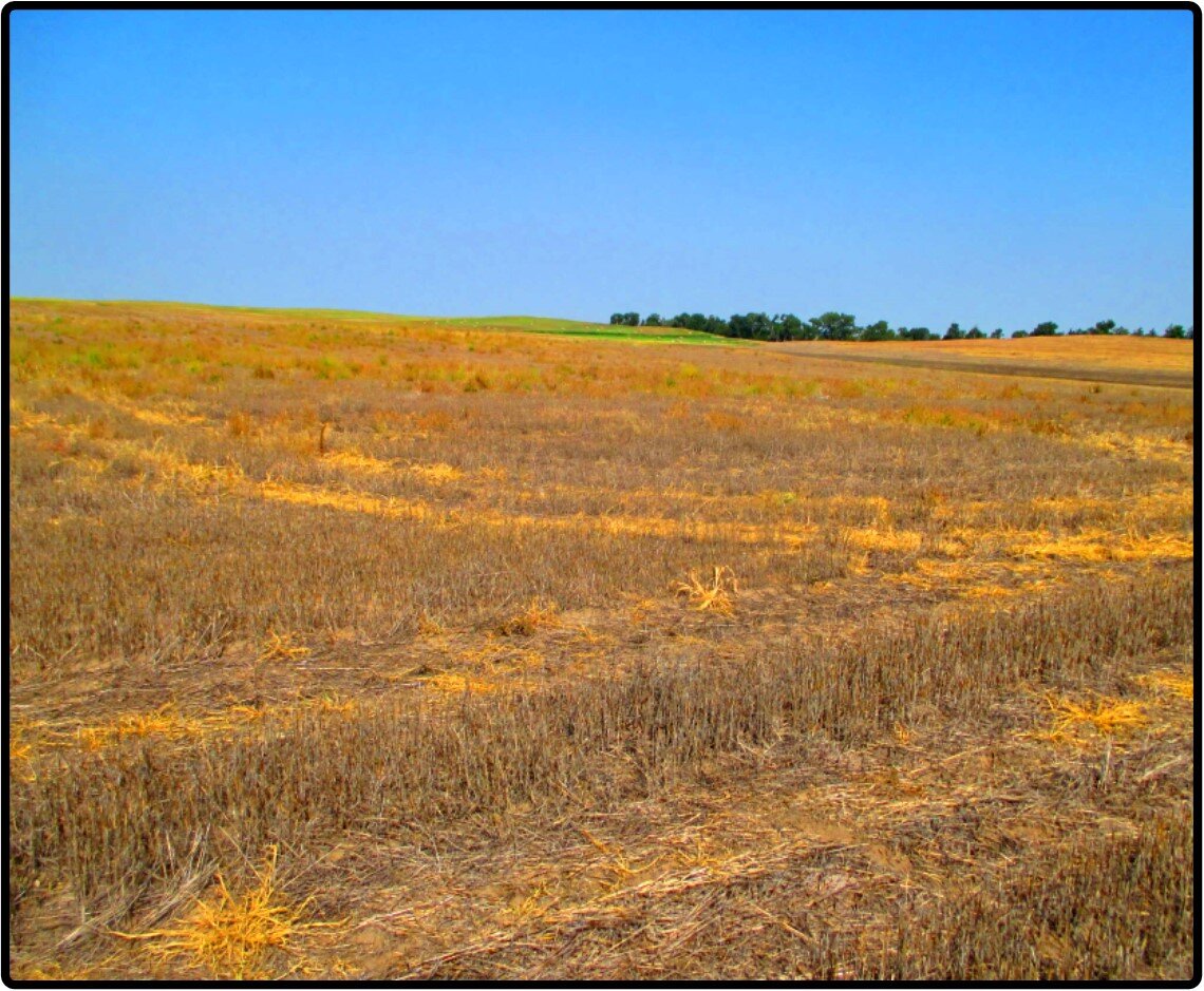 Image for Closed - Sheridan Co., NE - 161.55 Ac., m/l (090-0229-01)