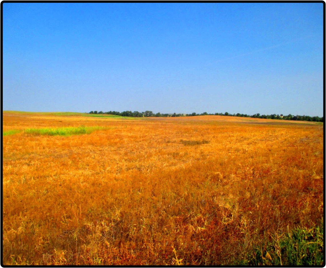 Image for Closed - Sheridan Co., NE - 161.55 Ac., m/l (090-0229-01)