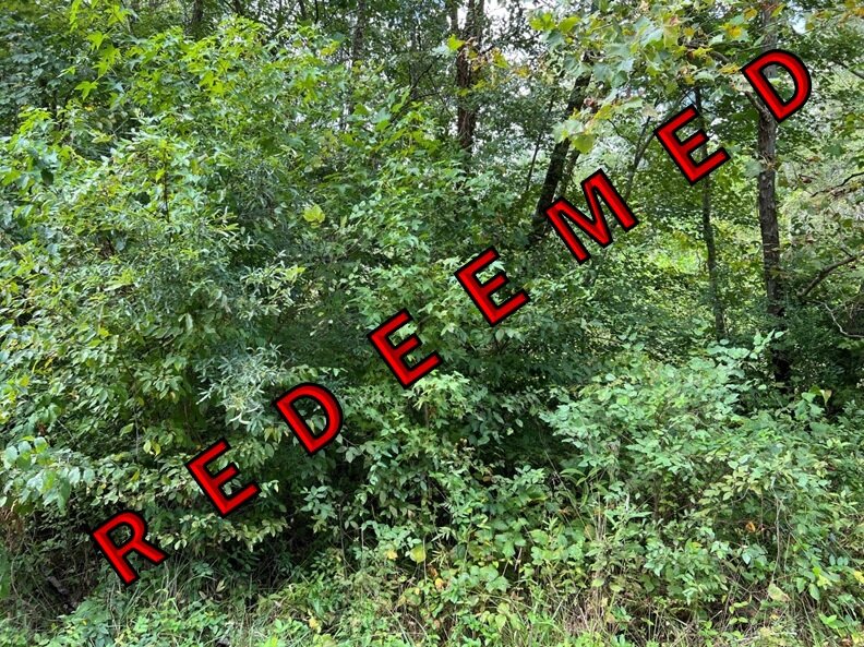 Redeemed-Isaac Minor, near I64 & Cross Country Rd, 75.00 AC +/-, Jackson Magisterial District, Acct. 11098, Tax Map 96-44