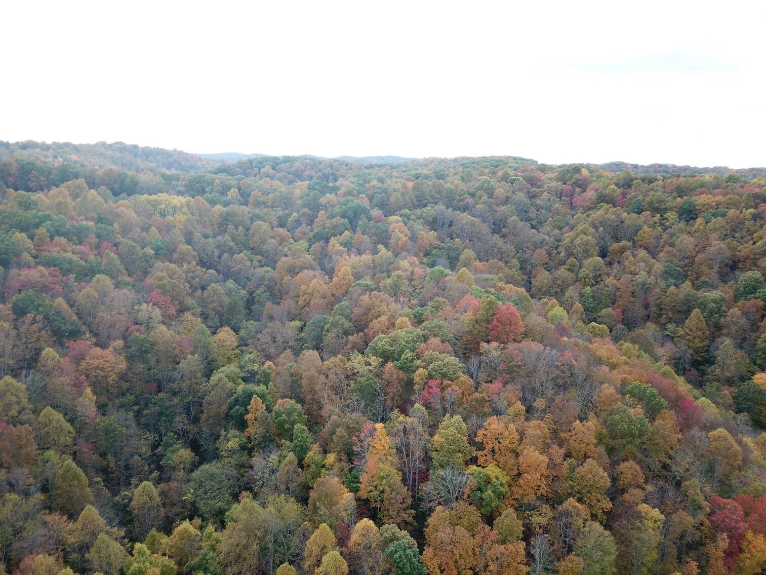 Image for SOLD $180,400 - 104 Acres with Farmhouse in Doddridge County