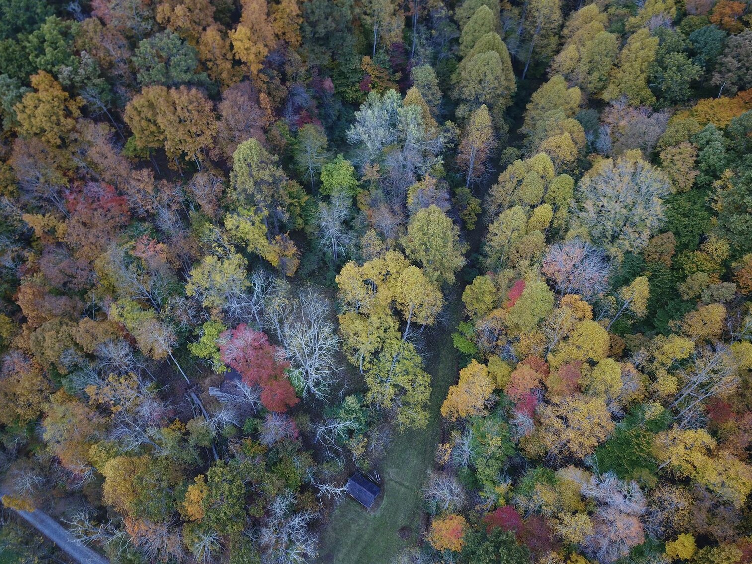 Image for SOLD $180,400 - 104 Acres with Farmhouse in Doddridge County