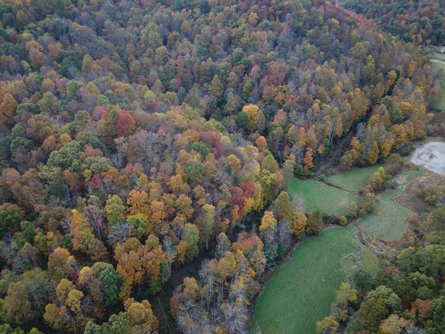 Image for SOLD $180,400 - 104 Acres with Farmhouse in Doddridge County