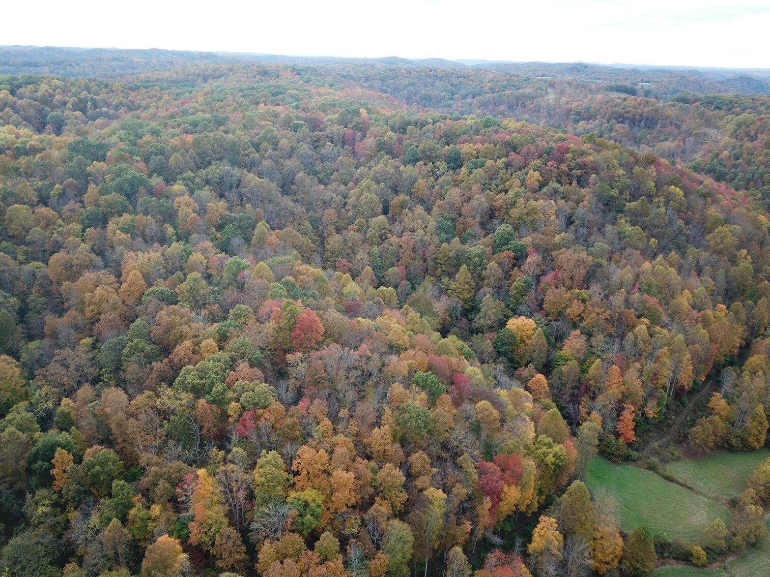 Image for SOLD $180,400 - 104 Acres with Farmhouse in Doddridge County