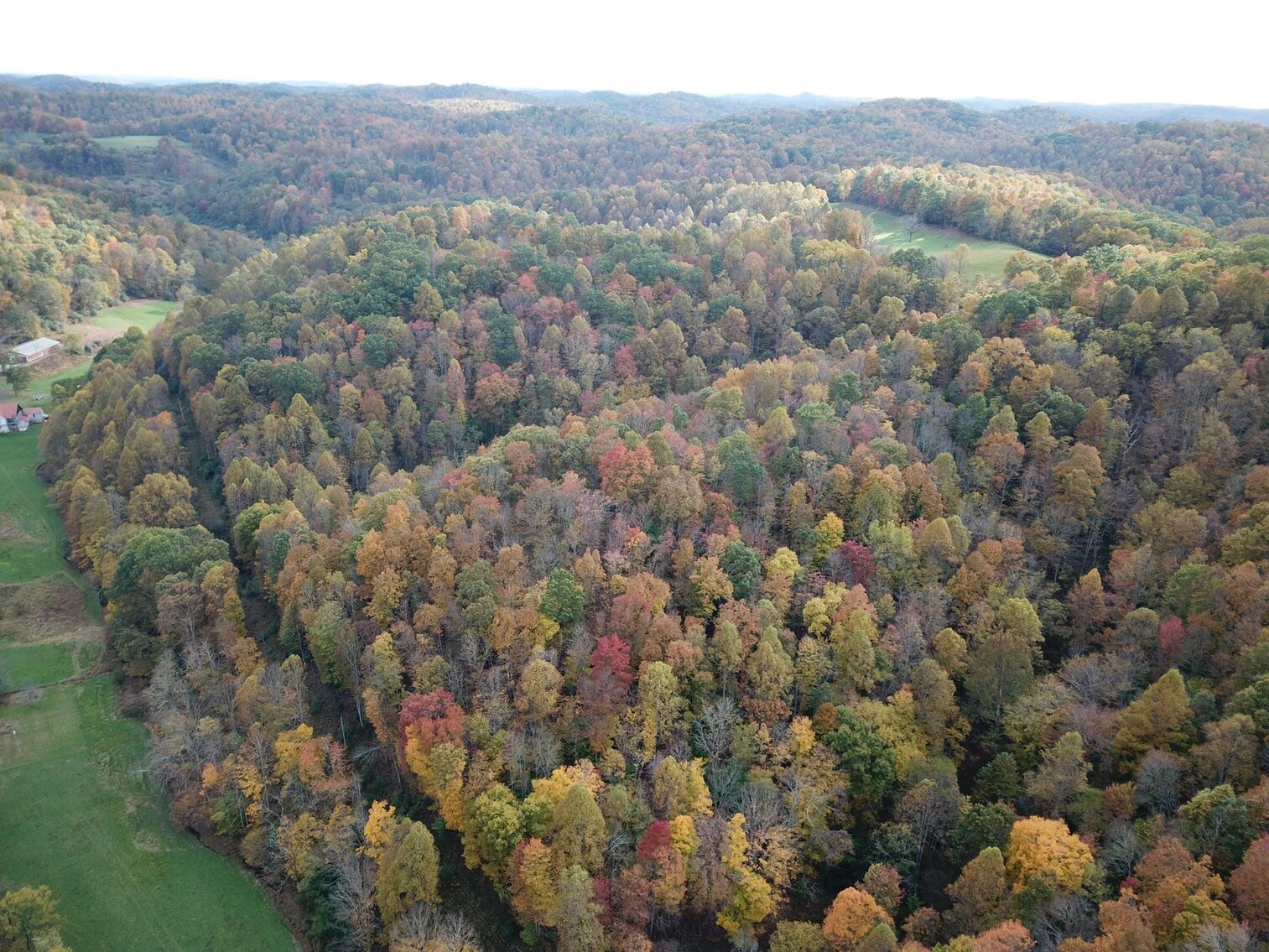 Image for SOLD $180,400 - 104 Acres with Farmhouse in Doddridge County
