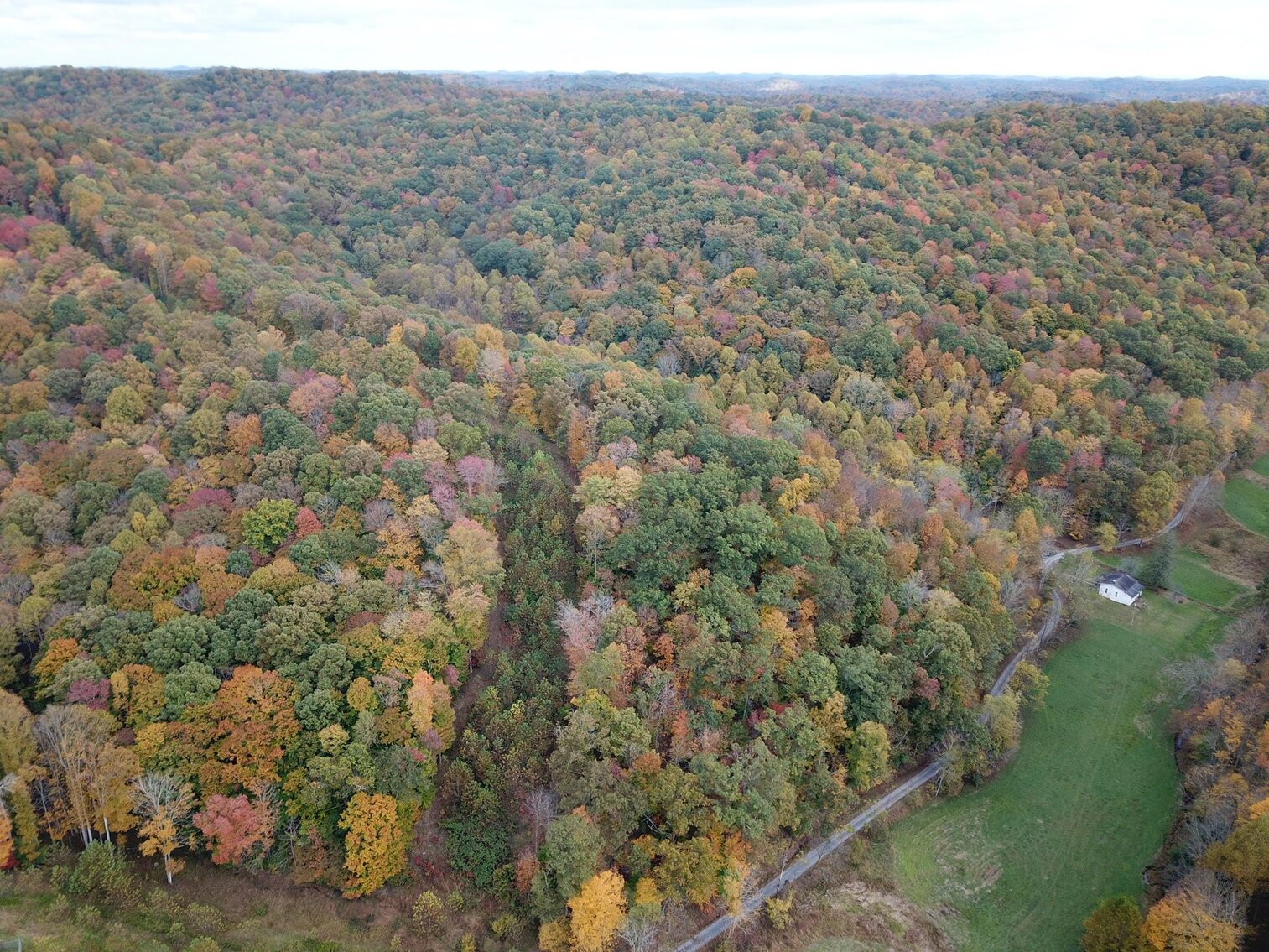Image for SOLD $180,400 - 104 Acres with Farmhouse in Doddridge County
