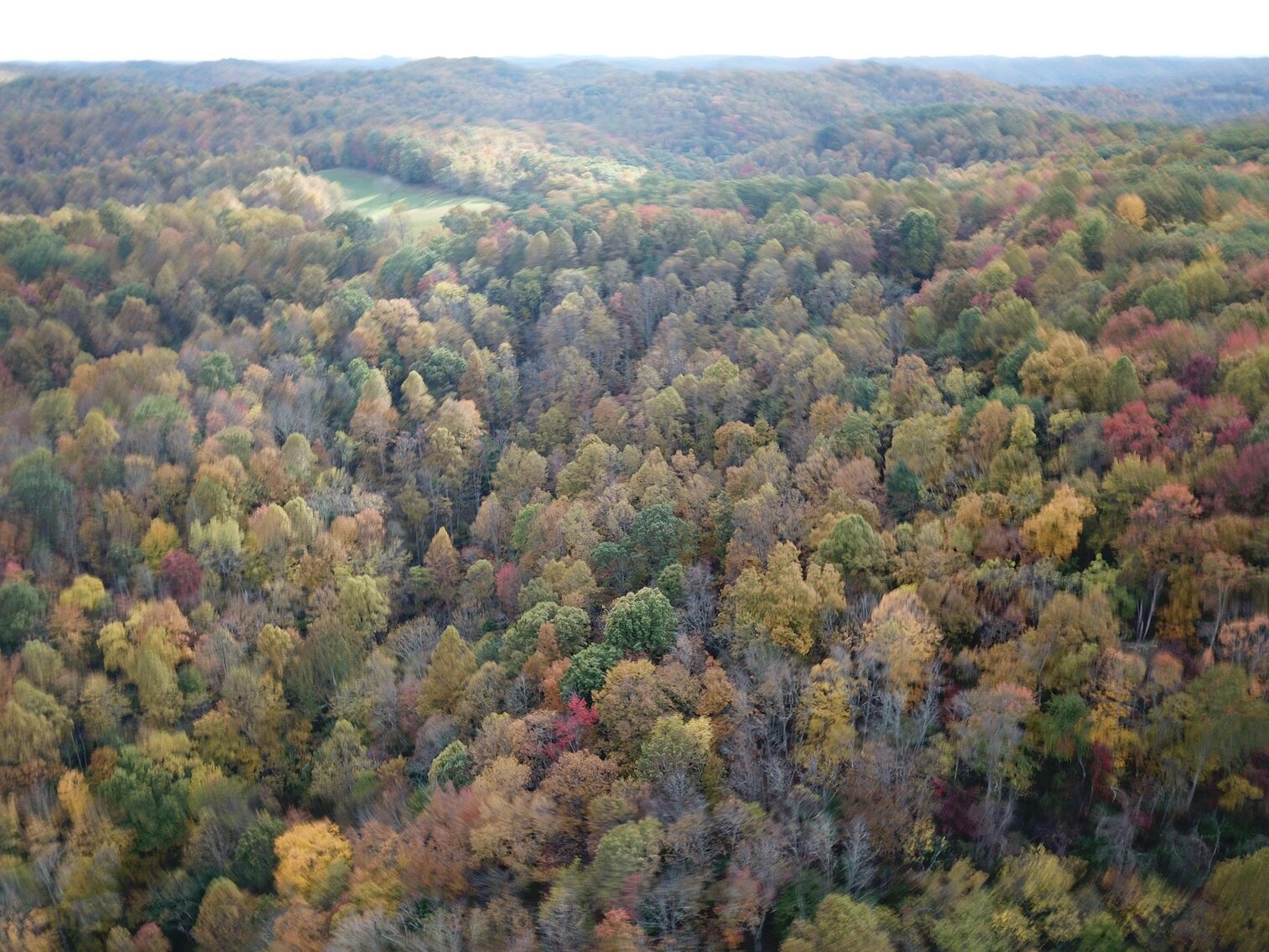 Image for SOLD $180,400 - 104 Acres with Farmhouse in Doddridge County
