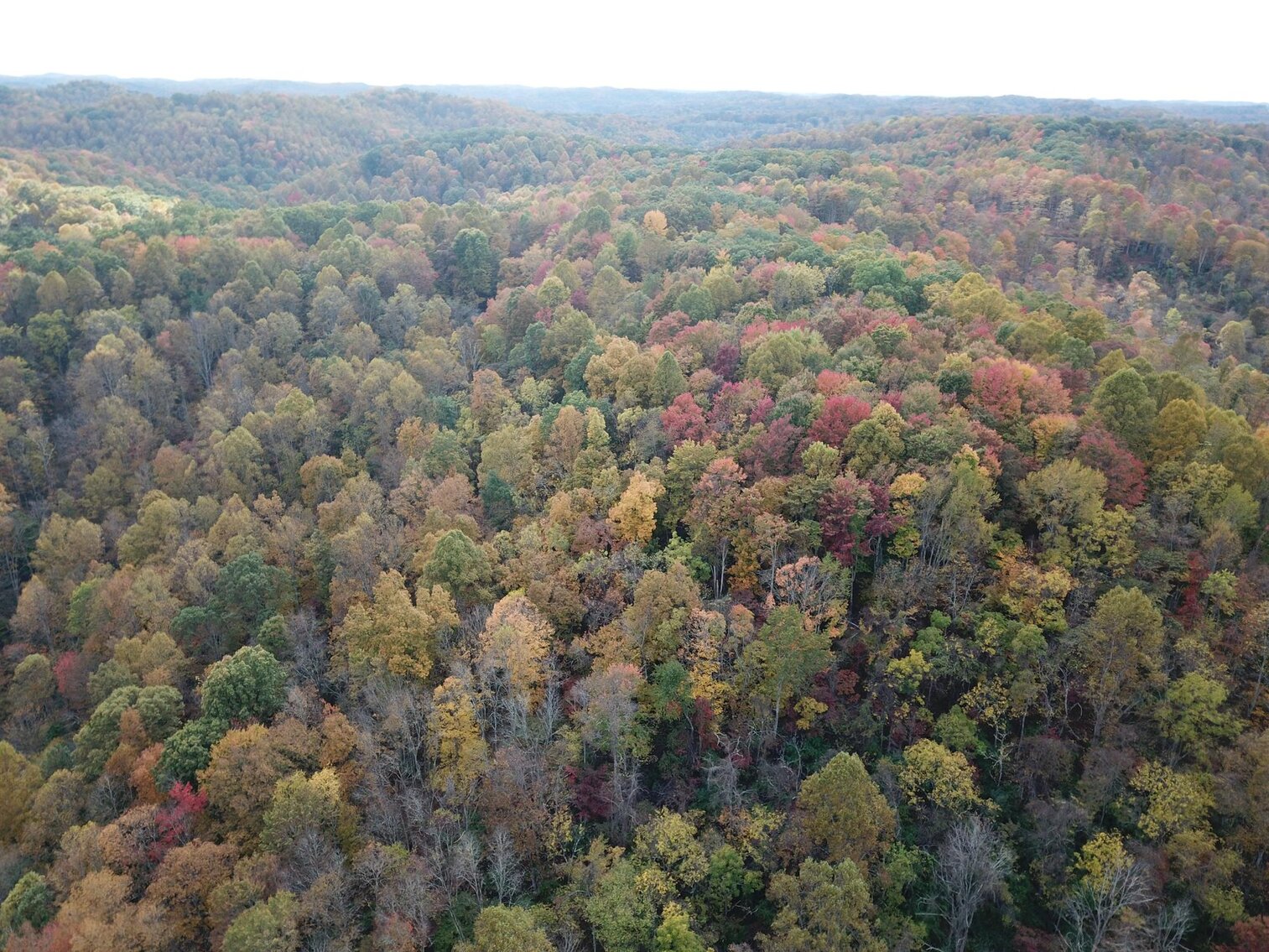 Image for SOLD $180,400 - 104 Acres with Farmhouse in Doddridge County