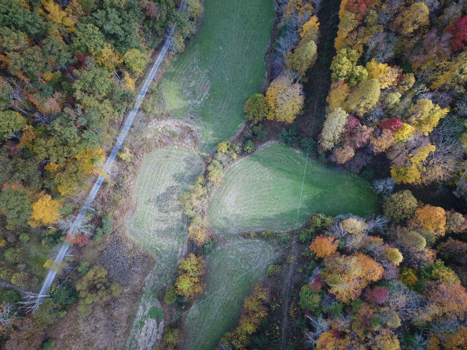 Image for SOLD $180,400 - 104 Acres with Farmhouse in Doddridge County