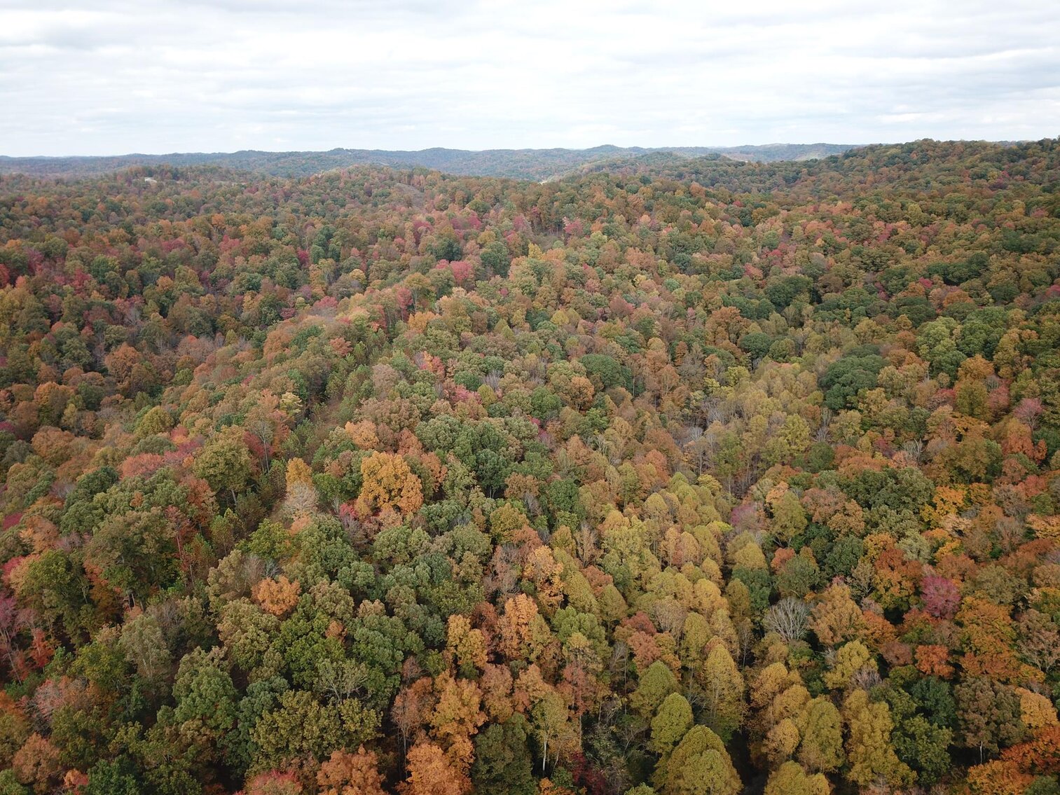 Image for SOLD $180,400 - 104 Acres with Farmhouse in Doddridge County