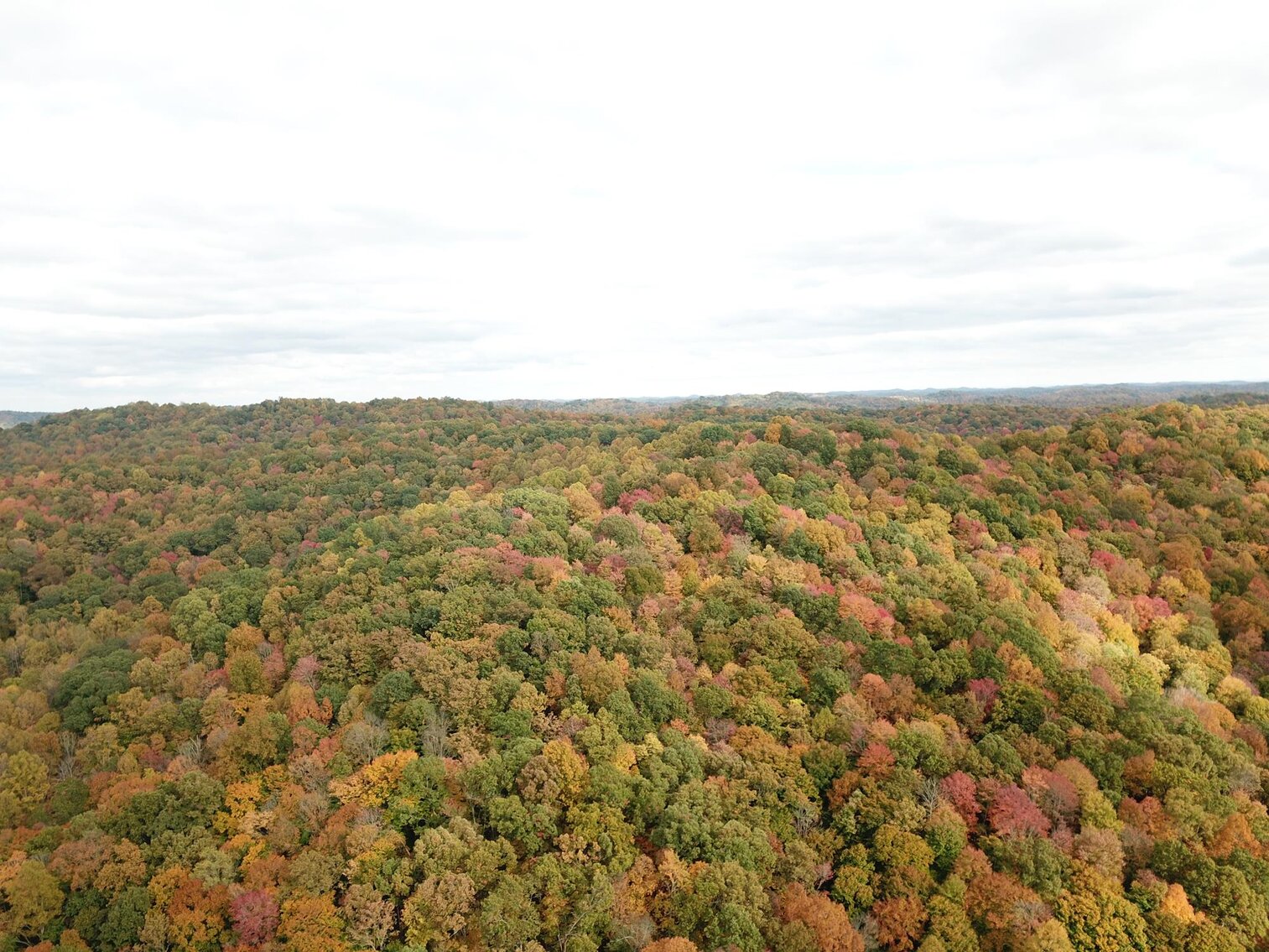 Image for SOLD $180,400 - 104 Acres with Farmhouse in Doddridge County