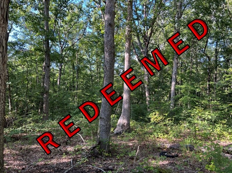 Redeemed-Tessie T. Sutton Estate, near Three Notch Rd and I64, 10.00 AC +/-, Courthouse Magisterial District, Acct. 16006, Tax Map 78-6