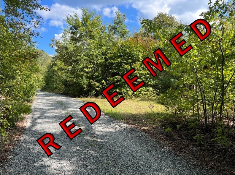 Redeemed-Tessie Lumkin Jackson, near Nannie Burton Rd, 25.00 AC +/-, Courthouse Magisterial District, Acct. 8364, Tax Map 78-38
