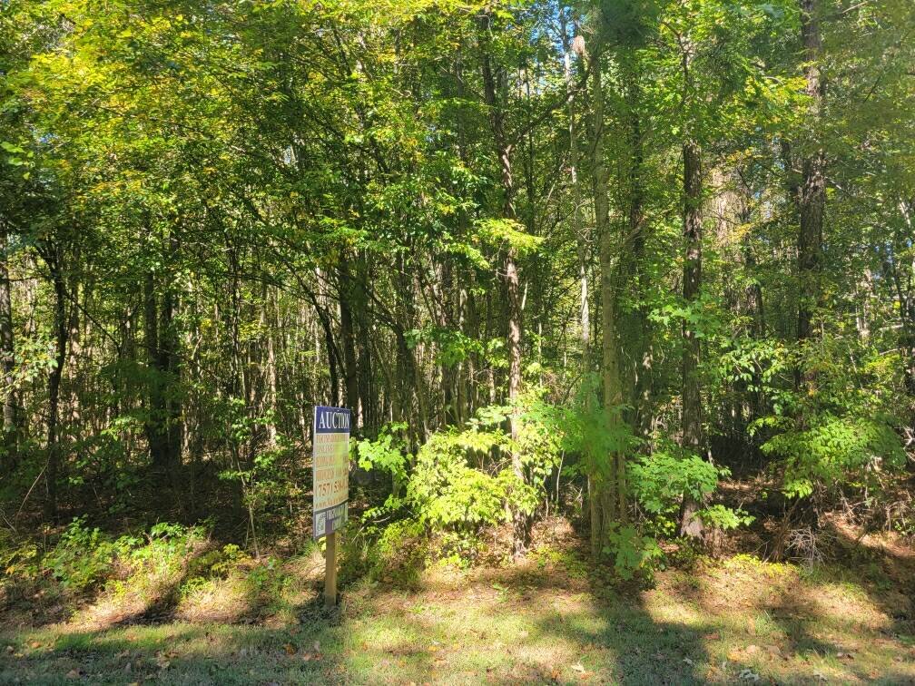 Image for Nov. 9th - Nov. 20th, 2023 - City of Chesapeake TAX AUCTION