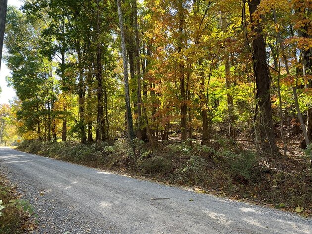 Image for Clarke County, VA Sale of Tax Delinquent Real Estate