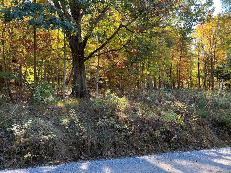 Image for Clarke County, VA Sale of Tax Delinquent Real Estate